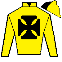 Northerly racing silks
